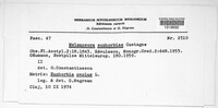 Melampsora euphorbiae image
